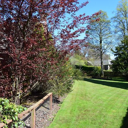 Auburn Cottage Arbroath Ngoại thất bức ảnh